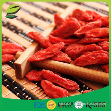 EU hot sell miracle goji berries